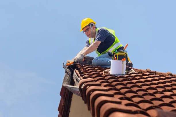 Best Roof Maintenance and Cleaning  in Jim Thorpe, PA